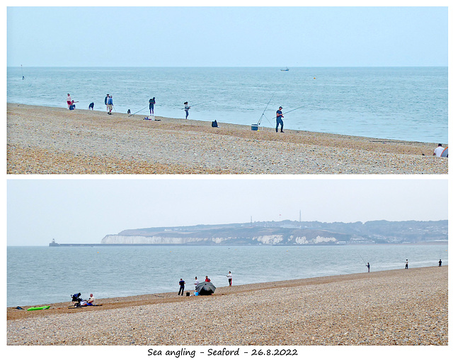 Sea angling Seaford 16 8 2022