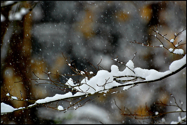 Ho, ho ho, Snow flakes....