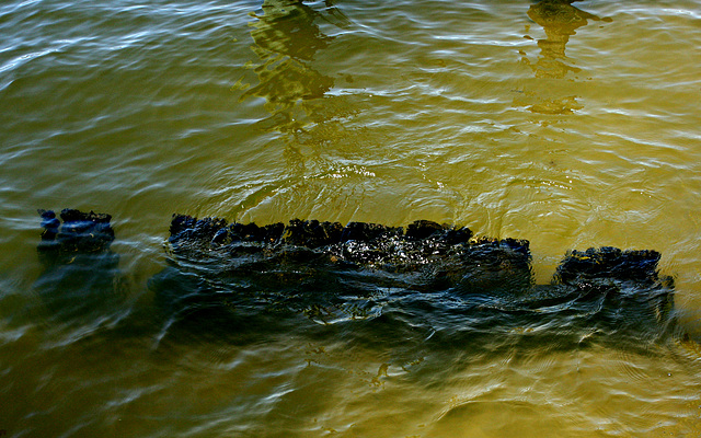 Relic Breakwater at Low Tide