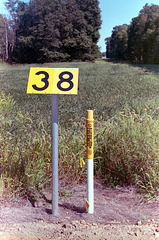 38