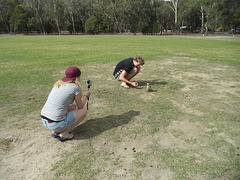 Halls Gap kookaburra