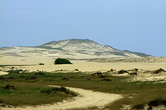 Sandberg nahe der Küste