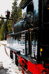 With the traditional Train up to the Brocken