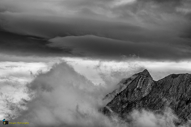 Licht ist der feinste Träger des Seelischen.