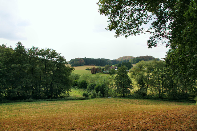 Paasbachtal (Sprockhövel) / 16.08.2020