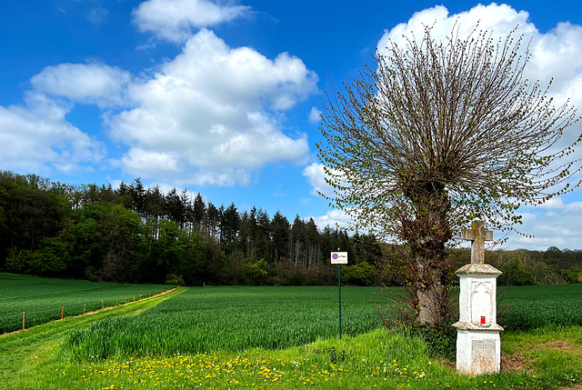 DE - Weilerswist - Frühling im Dobschleider Tal