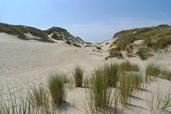 Nederland - Egmond aan Zee, Wimmenummerduinen