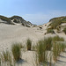 Nederland - Egmond aan Zee, Wimmenummerduinen