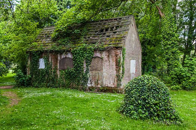 Derelict and overgrown