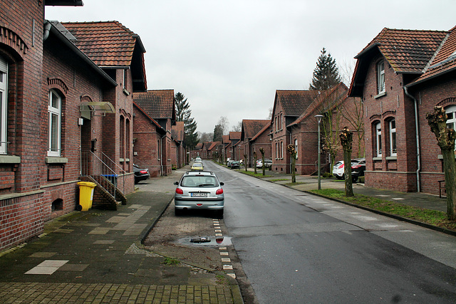 Ludwig-Richter-Straße, Zechensiedlung (Bottrop-Batenbrock) / 19.03.2017