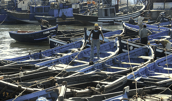 Alignement de barques.