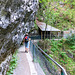 Der Zaun in der Gießenbach-Klamm