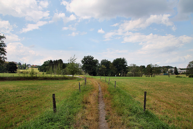 Am Vogelbruch (Hattingen-Niederstüter) / 16.08.2020