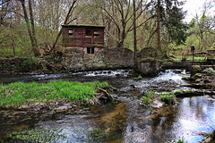Die Ruine der Richenberger Mühle
