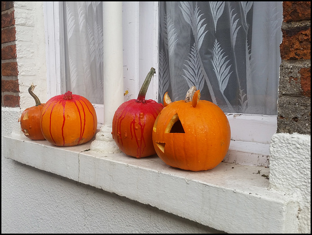 pumpkins at the window