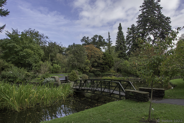 in the National Botanic Gardens of Ireland (© Buelipix)