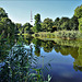 Hamburg 2023 / Botanischer Garten