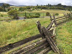 Wine Country Fence