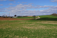 Bei Düna II
