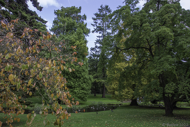 in the National Botanic Gardens of Ireland (© Buelipix)