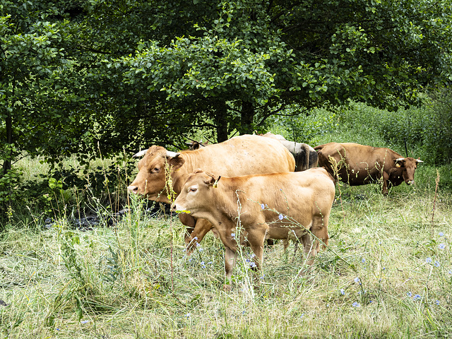 Mama und Kind