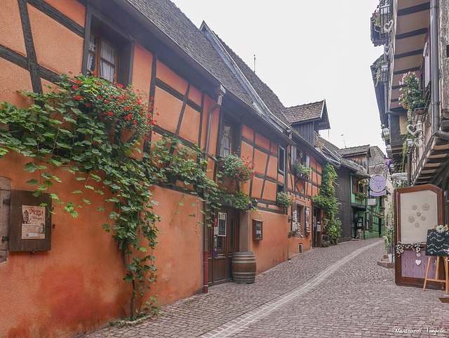 Riquewihr