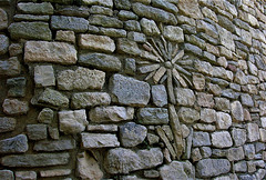 Provence - Fleur dans le mur
