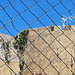 Walls with fence!~~HFF!