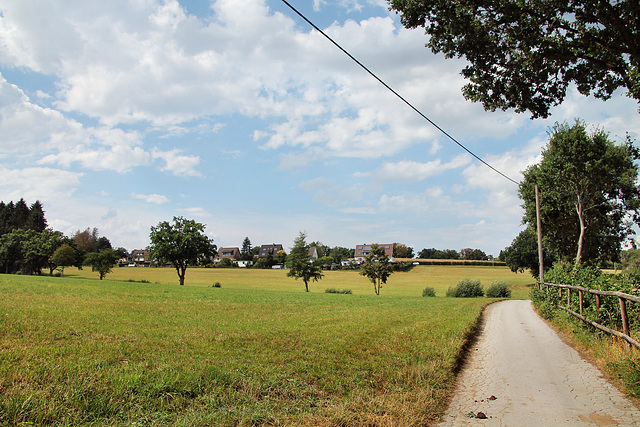 Am Vogelbruch (Hattingen-Niederstüter) / 16.08.2020