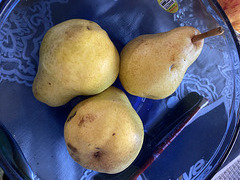 Pears