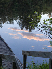 Reflection - Hammond Pond -3
