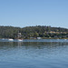 Boats On The Tamar