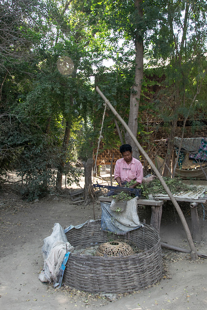 Zwischehalt in der Nähe von Myinmu am Irrawaddy (© Buelipix)