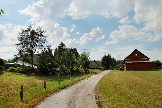 Am Vogelbruch (Hattingen-Niederstüter) / 16.08.2020