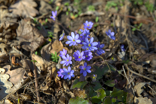 Farbtupfen