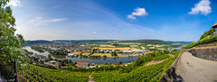 Neckar Valley Vista from Hornberg Castle (210°)