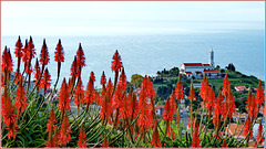 Madeira : Igreia de Sao Martinho