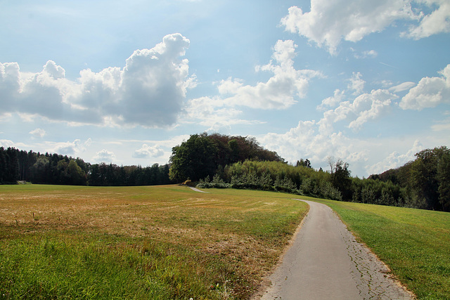 Am Vogelbruch (Hattingen-Niederstüter) / 16.08.2020