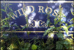 Wild Rose narrowboat