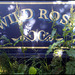 Wild Rose narrowboat