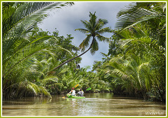 Canoe trip round Paradise Island