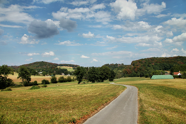 Am Vogelbruch (Hattingen-Niederstüter) / 16.08.2020