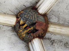 exeter cathedral, devon