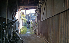 Alley