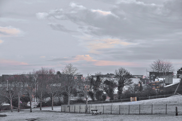 Frosty Morning in the Park   /   Nov 2017