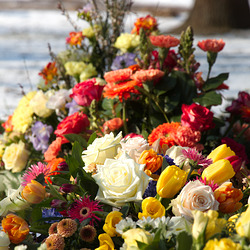 Wenn im Märzen noch der Winter kracht