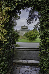 in the National Botanic Gardens of Ireland (© Buelipix)