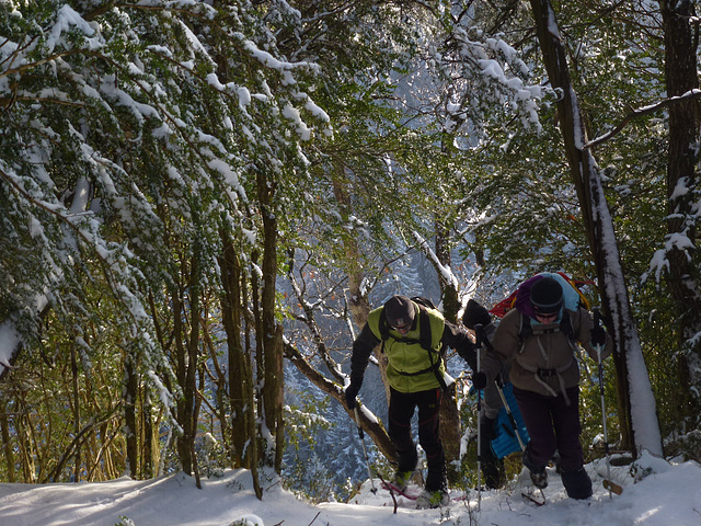 20150101 -03 Raquettes Vercors (30) al