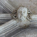 exeter cathedral, devon