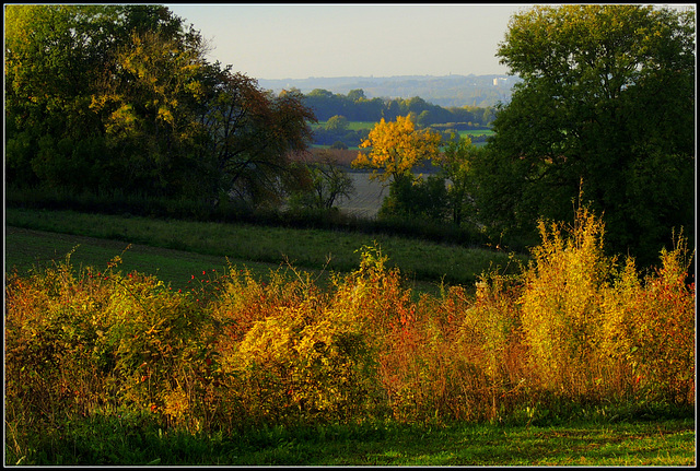 Autumn is coming  closer